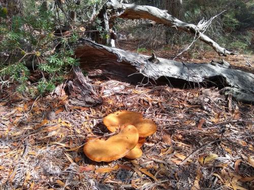 IMG_20190407_123102782_HDR